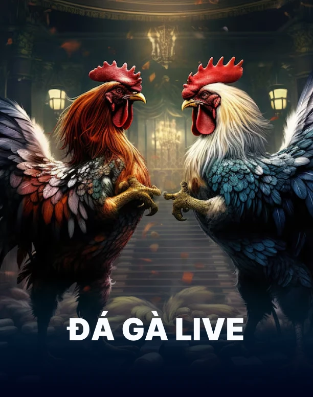 Đá Gà Live